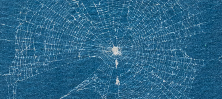 Spider Webs