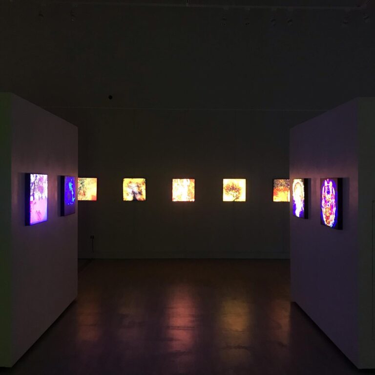 The Brain Tree Project, 2019, exhibition view, San Jacinto College South Campus Gallery, curated by Bradly Brown. John Bavaro