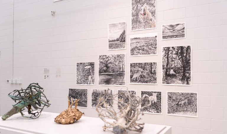 Solastalgia, 2024, exhibition view, San Jacinto College South Campus Gallery, curated by Bradly Brown