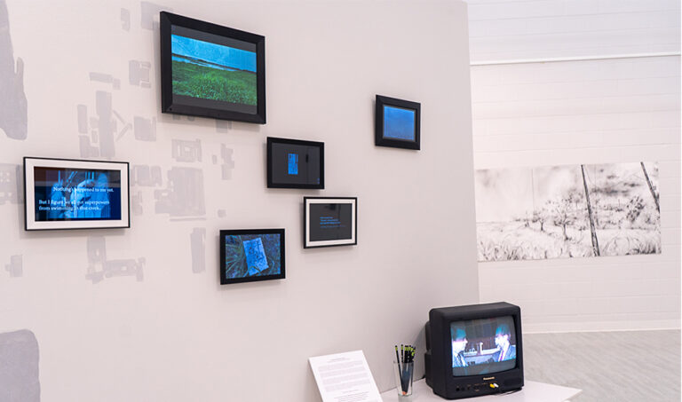 Solastalgia, 2024, exhibition view, San Jacinto College South Campus Gallery, curated by Bradly Brown