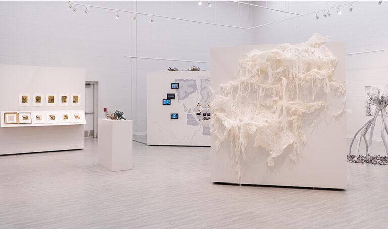 Solastalgia, 2024, exhibition view, San Jacinto College South Campus Gallery, curated by Bradly Brown
