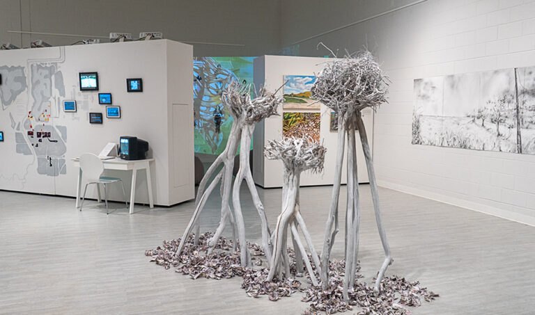 Solastalgia, 2024, exhibition view, San Jacinto College South Campus Gallery, curated by Bradly Brown