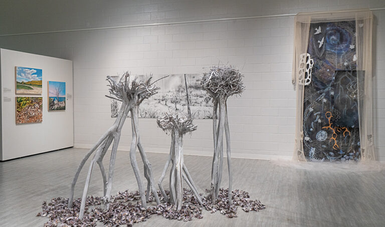 Solastalgia, 2024, exhibition view, San Jacinto College South Campus Gallery, curated by Bradly Brown