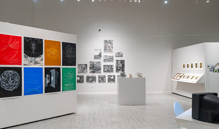 Solastalgia, 2024, exhibition view, San Jacinto College South Campus Gallery, curated by Bradly Brown