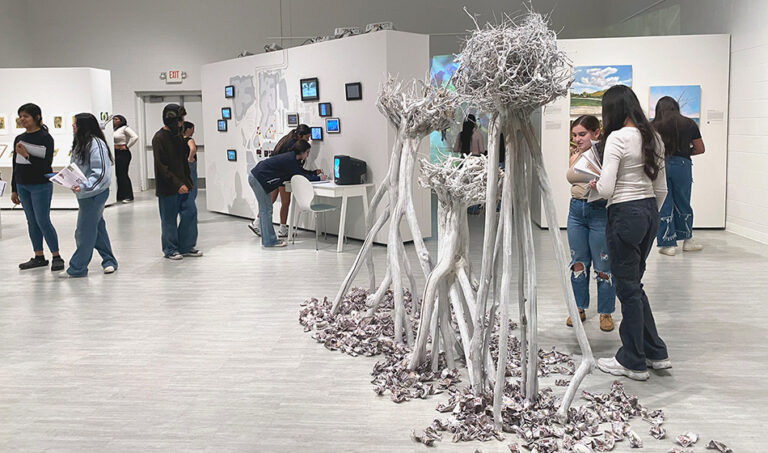 Solastalgia, 2024, exhibition view, San Jacinto College South Campus Gallery, curated by Bradly Brown