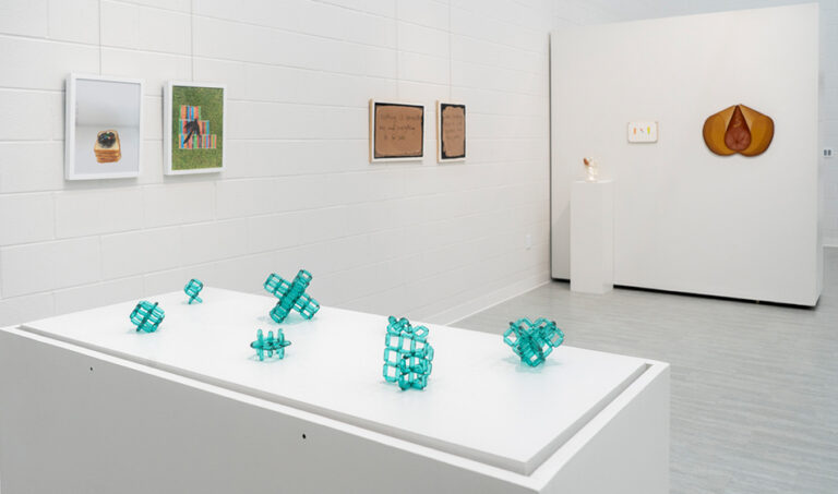 Arm Candy, 2024, exhibition view, San Jacinto College South Campus Gallery, curated by Bradly Brown