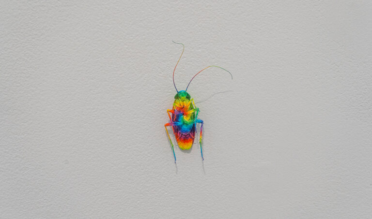 Arm Candy, 2024, exhibition view, San Jacinto College South Campus Gallery, curated by Bradly Brown