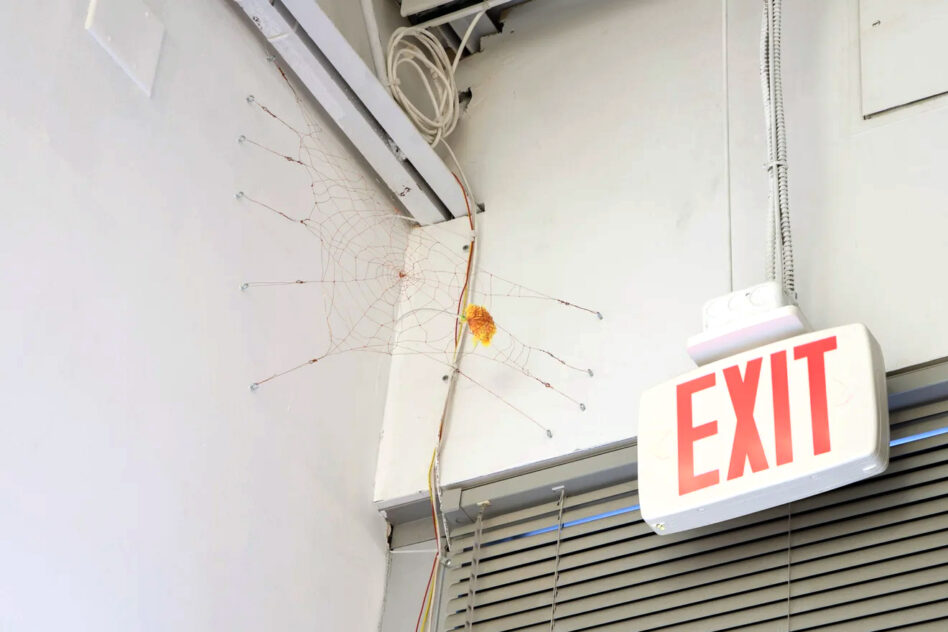 UUUUUU (The Last Laugh) by Bradly Brown — copper-wire spiderweb holding a yellow squirting gag flower, installed in a gallery corner near an exit sign