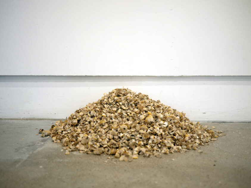 Transpacific, 2012 — artwork by artist Bradly Brown