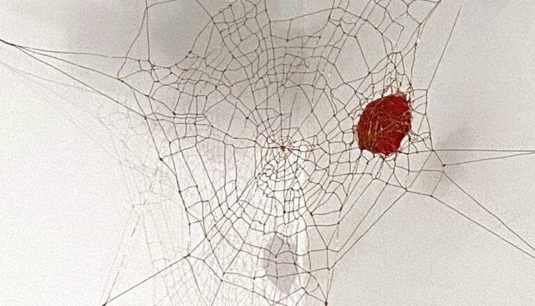 UUUUUU (The Last Laugh), 2023 — artwork by artist Bradly Brown. Close view of a copper-wire spiderweb holding a red clown nose on a white wall