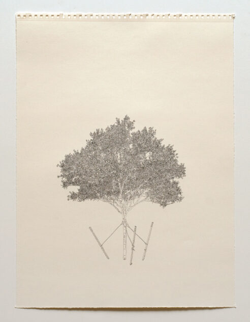 Three Trees, 2012 — artwork by artist Bradly Brown