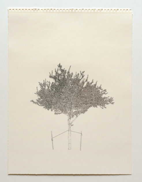 Three Trees, 2012 — artwork by artist Bradly Brown