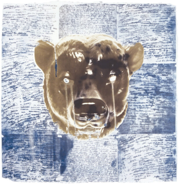 Barnyard, 2006 — artwork by artist Bradly Brown